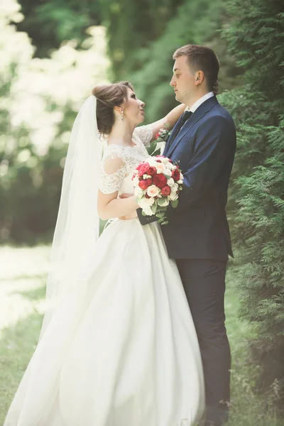 Pas getrouwd stel loopt en springt in het park terwijl ze elkaars hand vasthouden — Stockfoto