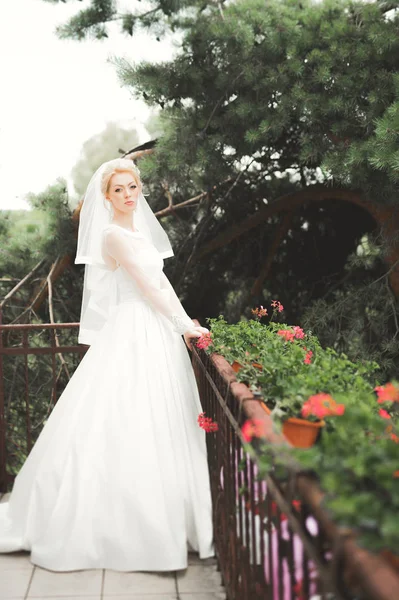 Bella sposa posa in abito da sposa all'aperto — Foto Stock