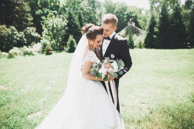 Genç ve güzel bir çift parkta öpüşüyor ve gülümsüyor.