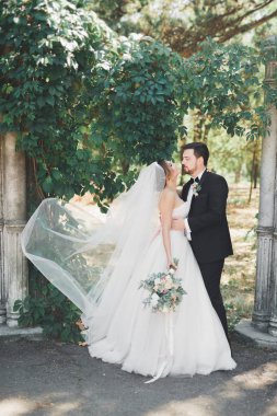 Mutlu düğün çift gelin ve damat bir botanik parkında poz