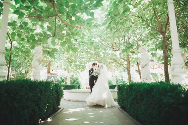 Szép, romantikus esküvői pár ifjú átölelve zöld parkban — Stock Fotó