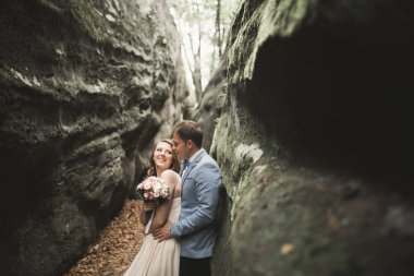 Muhteşem düğün çift öpüşme ve orman büyük kayalar ile sarılma