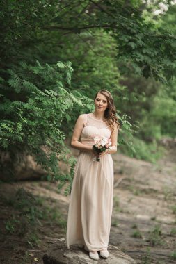 Ayakta dağlar arka plan üzerinde Nehri yakınında giysi güzel lüks genç gelin inwedding