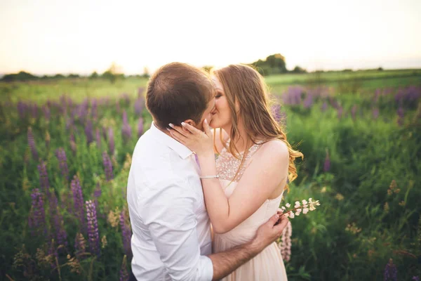 Schönes Hochzeitspaar, Liebe im Sonnenuntergang. Feld mit Blumen — Stockfoto