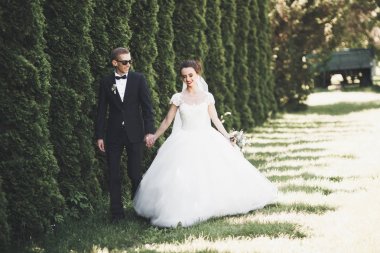 Genç ve güzel bir çift parkta öpüşüyor ve gülümsüyor.