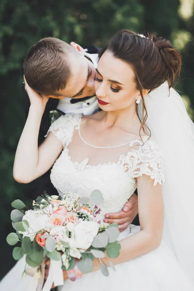 Schönes junges Hochzeitspaar küsst und lächelt im Park — Stockfoto