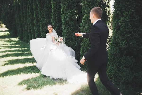 Pareja recién casada corriendo y saltando en el parque mientras se toma de la mano —  Fotos de Stock