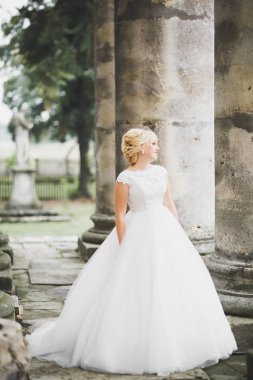 Muhteşem romantik zarif stil güzel beyaz gelin arka planda antik barok kalesinde