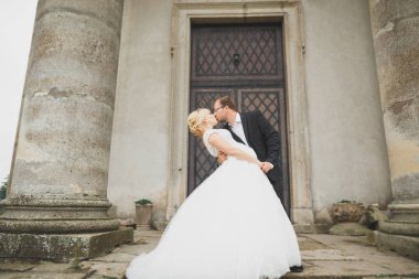 Güzel bir peri masalı yeni evli çift eski ortaçağ şatosunun yakınlarında sarılıyor.