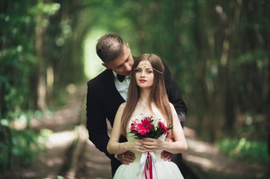 Mutlu düğün çift büyüleyici damat ve mükemmel gelin parkta poz