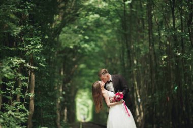 Genç düğün çift, gelin ve damat bir demiryolundan poz