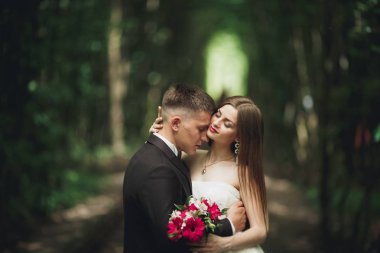 Mutlu düğün çift büyüleyici damat ve mükemmel gelin parkta poz