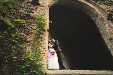İnanılmaz mutlu nazik stil güzel romantik beyaz çift arka planda antik barok kalesinde
