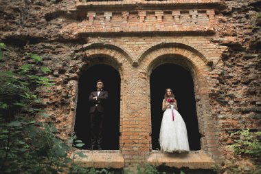 Mutlu yeni evliler yürüyüşte antik castle yakınındaki oteller