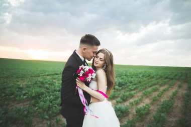 Alanına, aşık veya yeni evli mükemmel gökyüzü günbatımı poz güzel Çift