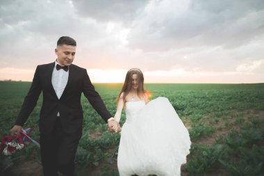 Güzel bir düğün çifti, gelin ve damat gün batımında sahada poz veriyorlar.