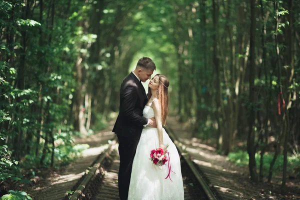 Joven pareja de boda, novia y novio posando en una vía férrea — Foto de Stock