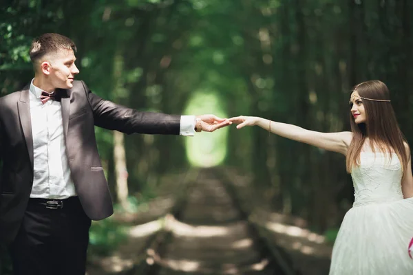 Matrimonio coppia sposa e sposo tenendosi per mano — Foto Stock