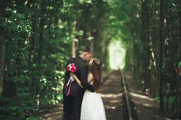 Bella, coppia perfetta in posa il giorno del loro matrimonio — Foto Stock