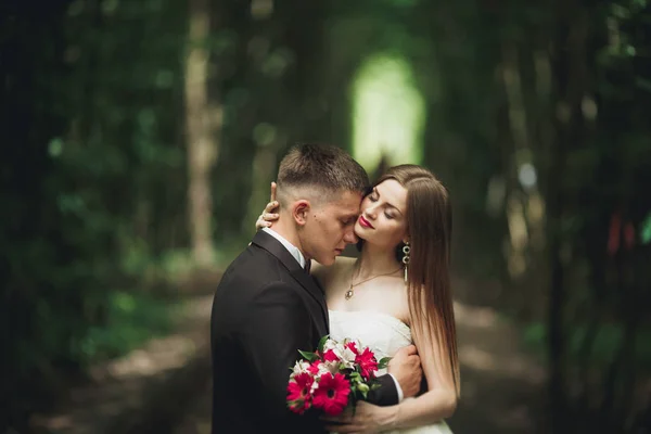 Boda feliz pareja novio encantador y novia perfecta posando en el parque — Foto de Stock