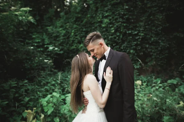 Öpüşme düğün birkaç yeşil yaprakları üzerinden görüntülemek — Stok fotoğraf