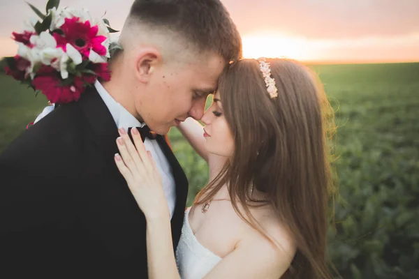 Hermosa pareja de boda, novia y novio posando en el campo durante la puesta del sol —  Fotos de Stock