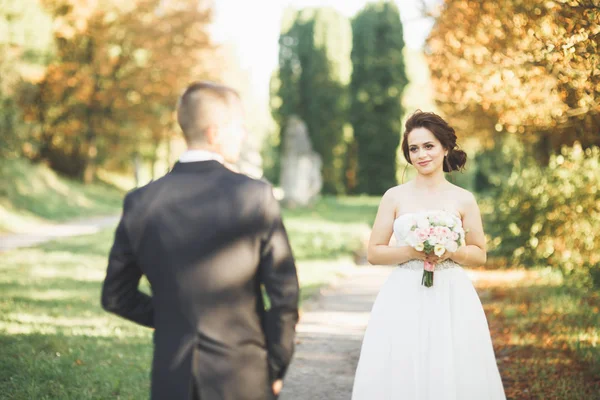 Mooie romantische bruidspaar van newlyweds knuffelen in groen park — Stockfoto