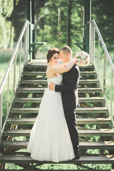 Felice matrimonio coppia sposa e sposo in posa in un parco botanico — Foto Stock