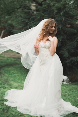 Zarif beyaz elbiseler içinde güzel bir gelin