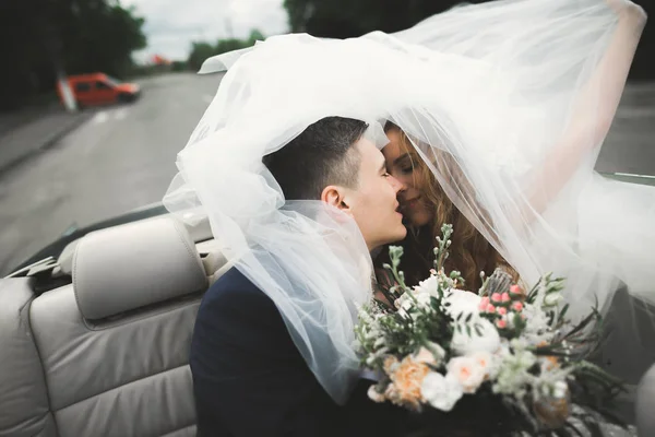 Lyckliga bruden och brudgummen poserar efter vigseln — Stockfoto