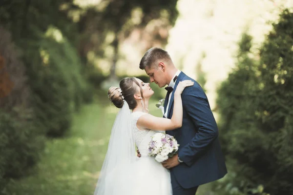 Romântico, conto de fadas, feliz casal recém-casado abraçando e beijando em um parque, árvores no fundo — Fotografia de Stock