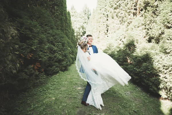 Pareja feliz boda caminando en un parque botánico —  Fotos de Stock