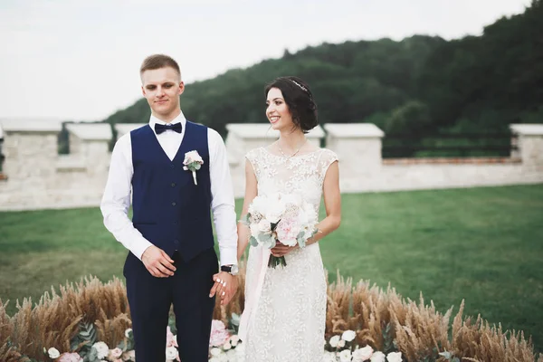 Ідеальна пара наречених, позування нареченого і поцілунки в день весілля — стокове фото