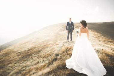 Güzel dağlarda poz veren mutlu bir düğün çifti.