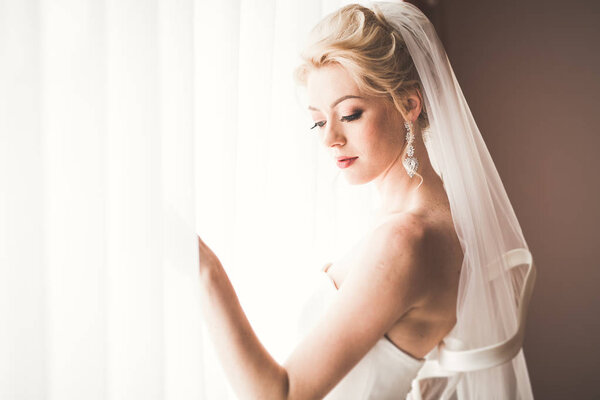 Портрет красивой невесты с фатой на свадьбе утром