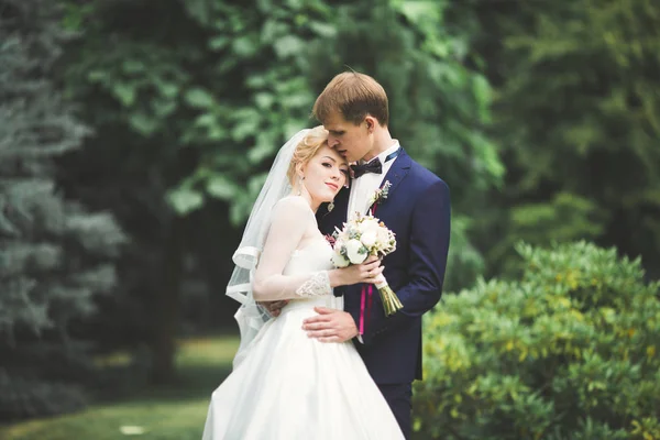 Joyeux couple de mariage marchant dans un parc botanique — Photo