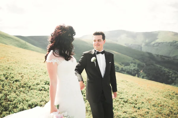美しい素晴らしい幸せな花嫁とスタイリッシュな新郎は、日当たりの良い素晴らしい山々の背景にポーズ — ストック写真