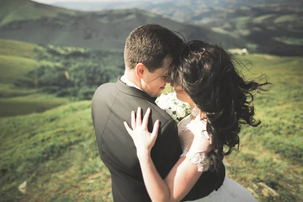 Baciare coppia di nozze soggiornando su un bellissimo paesaggio — Foto Stock