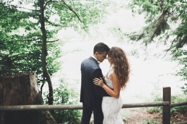 Romantik, peri masalı, mutlu yeni evli çift parkta sarılıp öpüşüyor, arka planda ağaçlar...