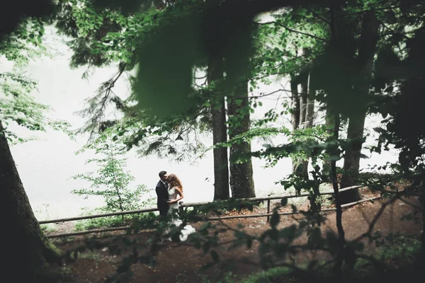 Pareja feliz boda caminando en un parque botánico — Foto de Stock