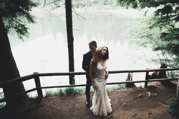 Elegante elegante novia morena feliz y hermoso novio en el fondo de un hermoso río en las montañas — Foto de Stock