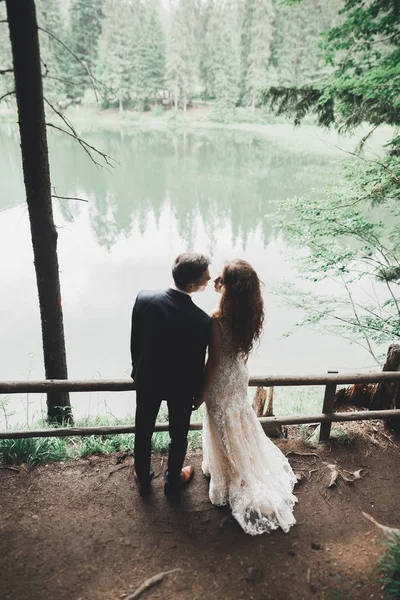 Romântico, conto de fadas, feliz casal recém-casado abraçando e beijando em um parque, árvores no fundo — Fotografia de Stock