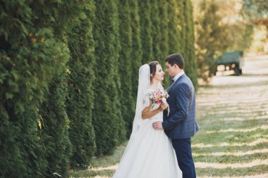 Mükemmel bir çift gelin ve damat düğün günlerinde poz verip öpüşürler.