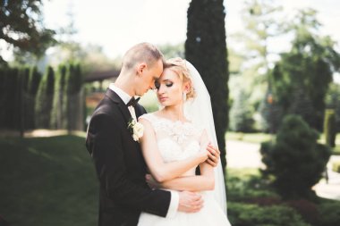 Genç bir çiftin şehvetli portresi. Açık hava.