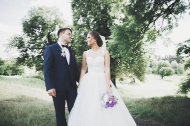 Mükemmel bir çift gelin ve damat düğün günlerinde poz verip öpüşürler.