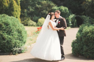 Parkta poz veren zarif beyaz elbiseli güzel gelin.