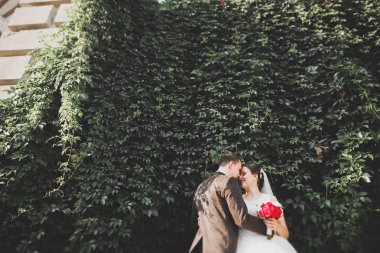 Romantik, peri masalı, mutlu yeni evli çift parkta sarılıp öpüşüyor, arka planda ağaçlar...