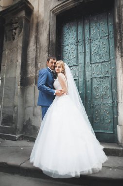 Mükemmel bir çift gelin ve damat düğün günlerinde poz verip öpüşürler.