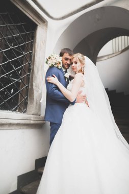 Lüks evli çift, gelin ve damat eski şehirde poz veriyor.