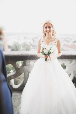 Mükemmel bir çift gelin ve damat düğün günlerinde poz verip öpüşürler.